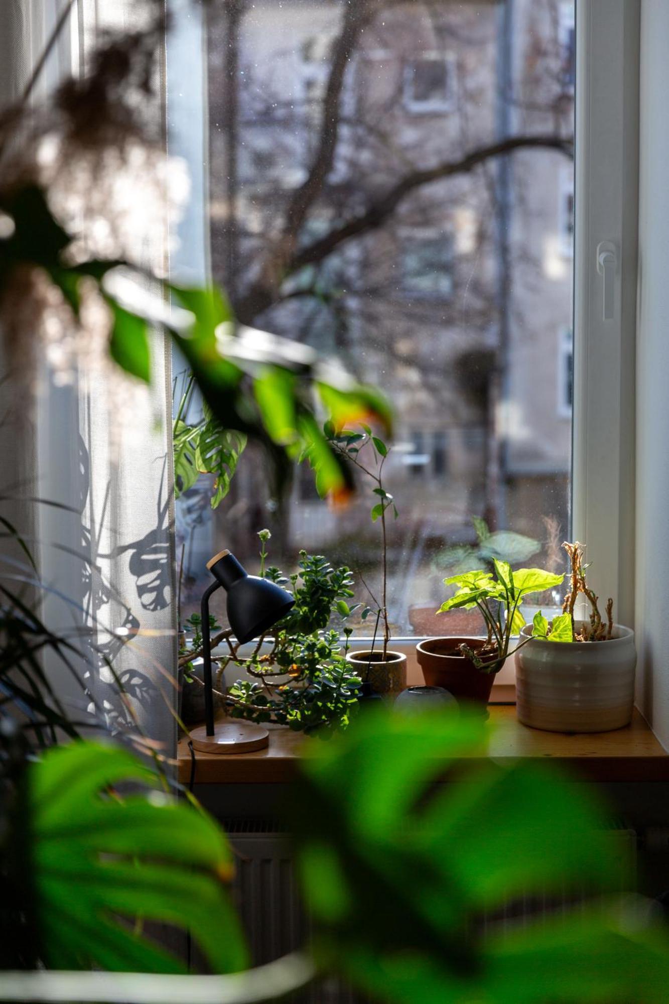 Evergreen - Old Town Spacious Stylish Apartment With Ac And One And A Half Bath, Baby & Kid- Friendly Bratislava Dış mekan fotoğraf