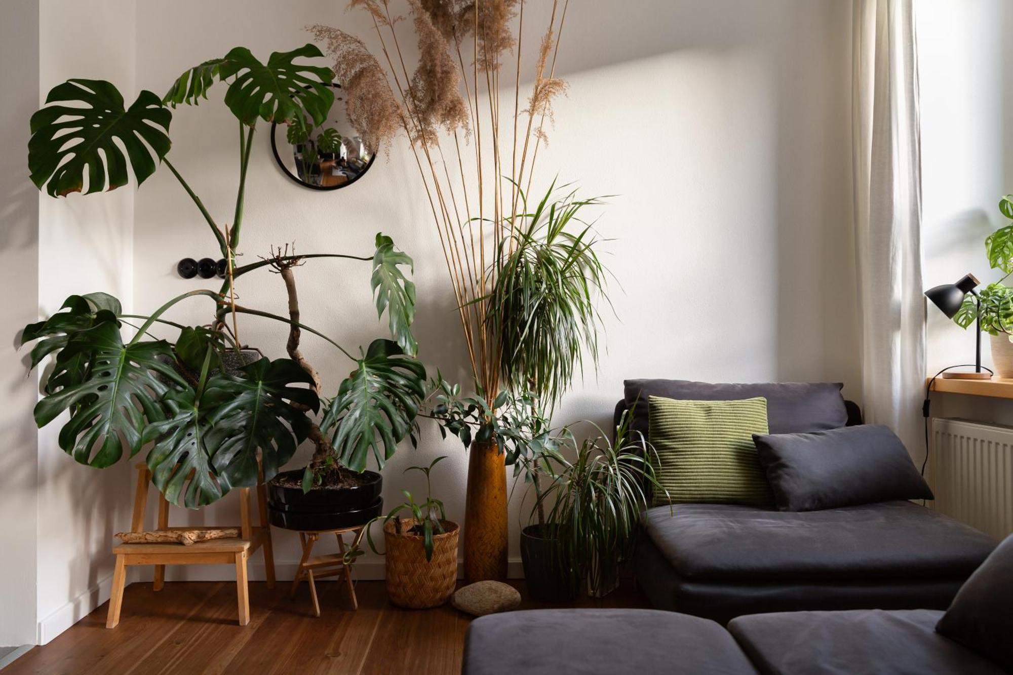 Evergreen - Old Town Spacious Stylish Apartment With Ac And One And A Half Bath, Baby & Kid- Friendly Bratislava Dış mekan fotoğraf